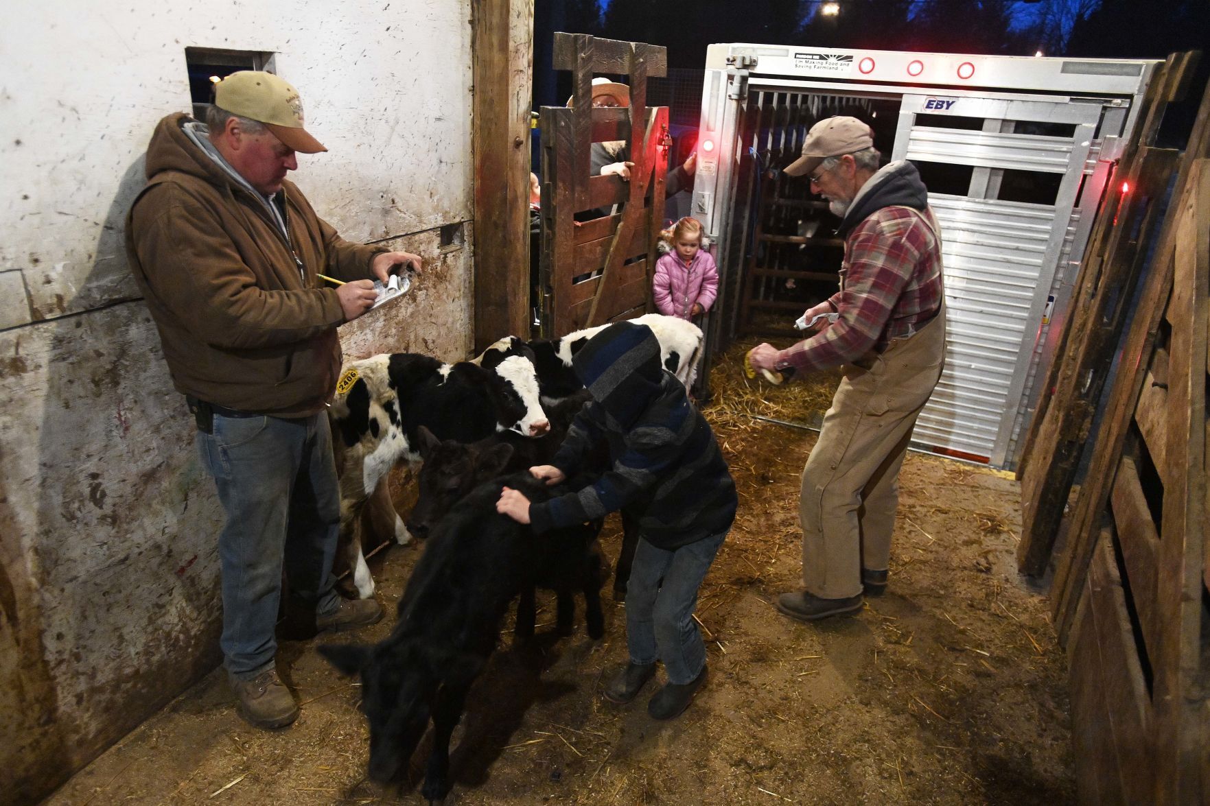 Carlisle Livestock Auction 8.JPG